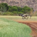 Een drone die boven een landbouwveld vliegt, met gewassen in het zicht, symboliseert technologische innovatie in de landbouw.
