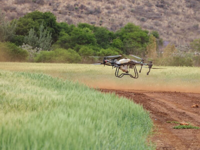 Een drone die boven een landbouwveld vliegt, met gewassen in het zicht, symboliseert technologische innovatie in de landbouw.