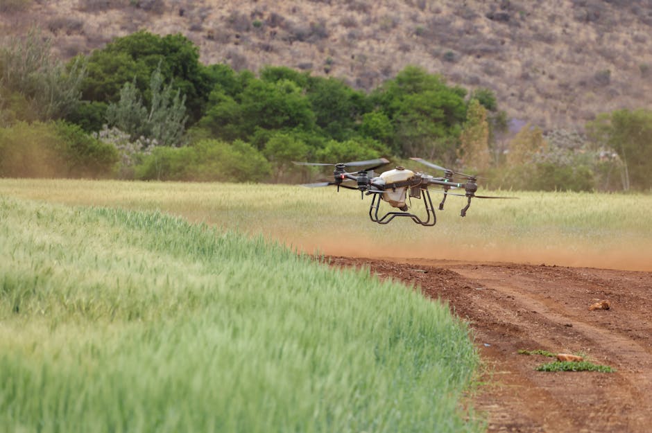 Een drone die boven een landbouwveld vliegt, met gewassen in het zicht, symboliseert technologische innovatie in de landbouw.